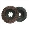 Flap Nylon Disc